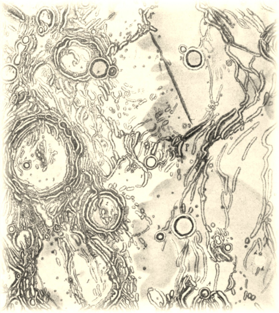 Ausschnitt aus Schmidts Mondkarte
